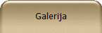 Galerija