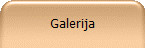 Galerija